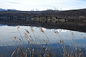 Avigliana Lago Grande In Inverno_050